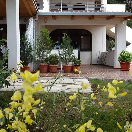 Marlin